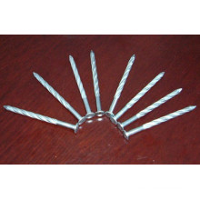 High Quality Galvanized Spiral Nail